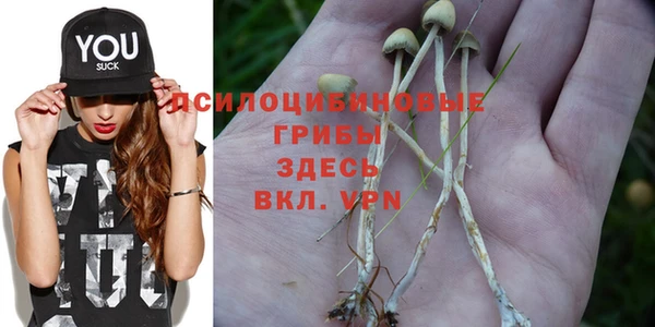 альфа пвп Баксан